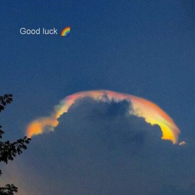 bob体育下载地址